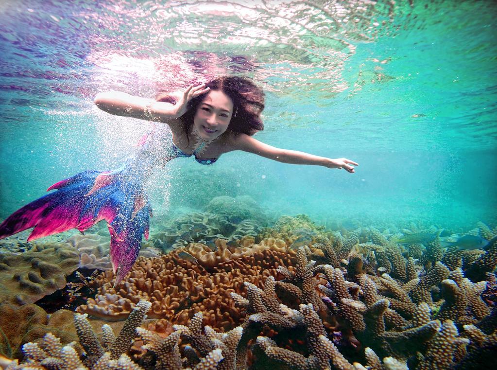 「美人魚海底宮殿」是一個以美人魚為主題的資訊平台